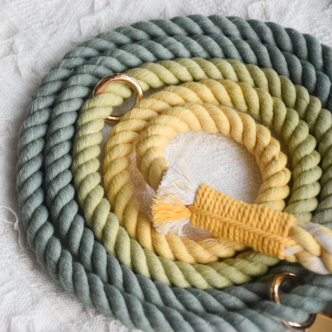 HANDS-FREE DOG ROPE LEASH - AVOCADO