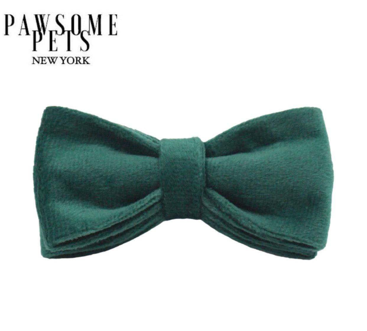 BOWTIE - VIRIDIAN