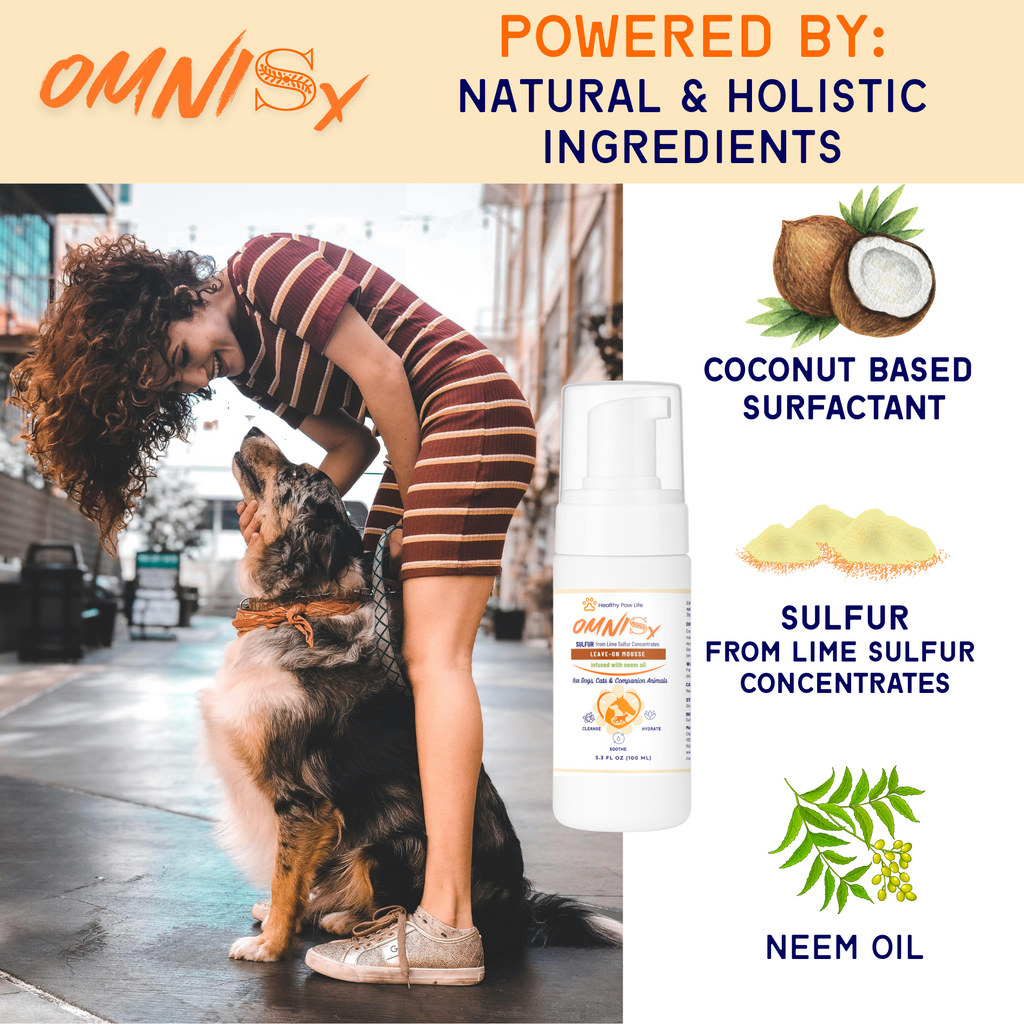 OMNISx Leave-On Mousse - Sulfur-based Veterinary-Strength Formula for Itchy, Irritated, or Sensitive Skin