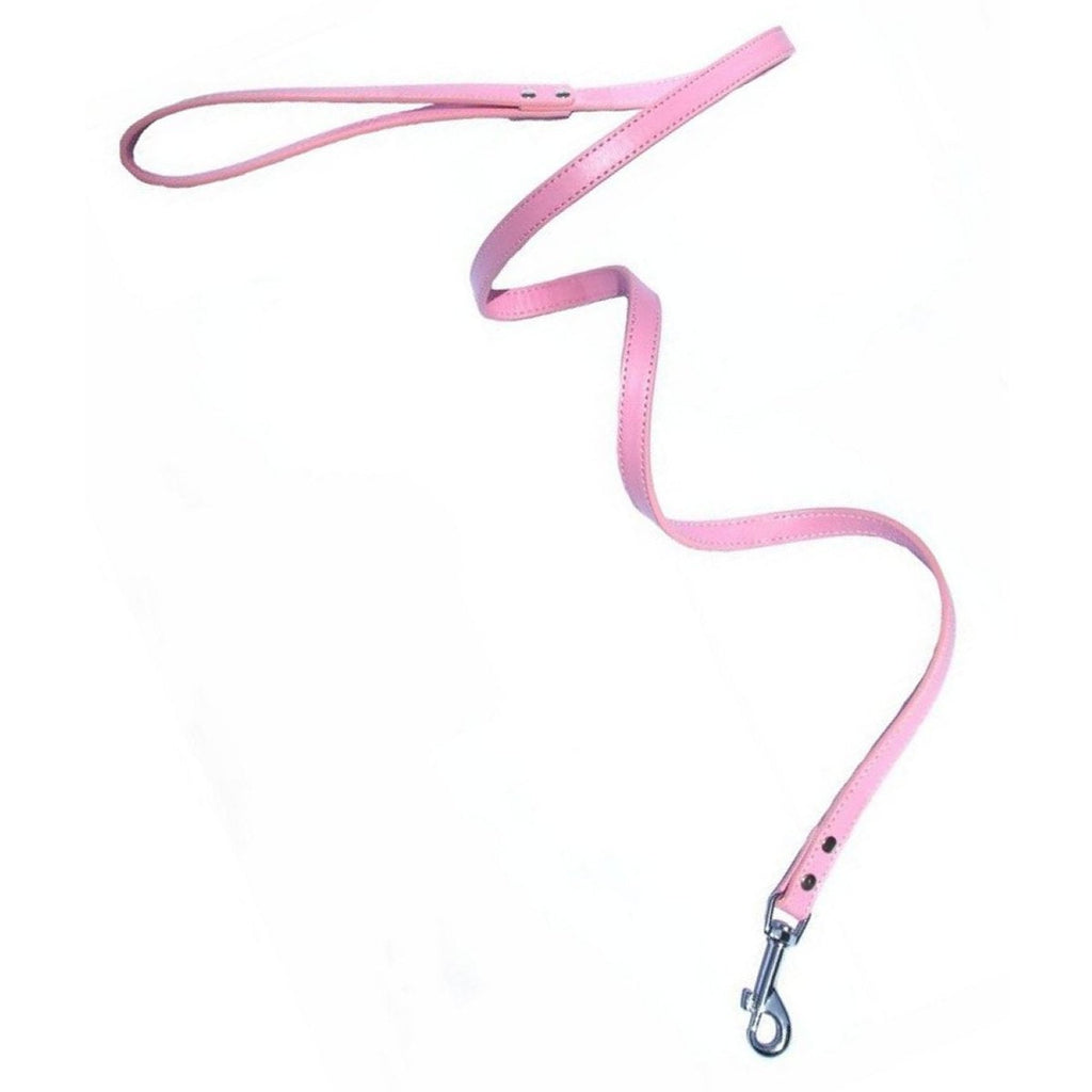 Classic Dog Leashes - Medium