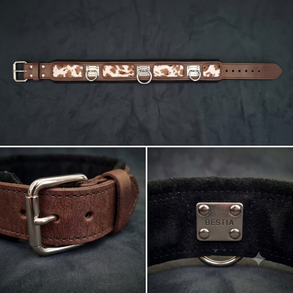 "Buffalo" collar LIMITED