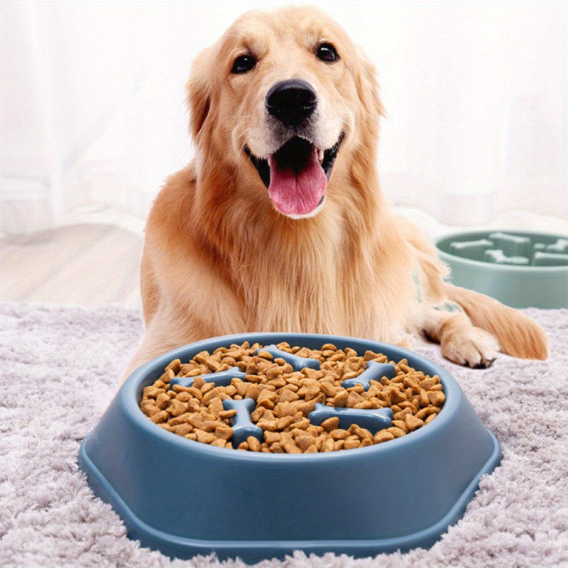 Anti-Gulping Dog Bowl