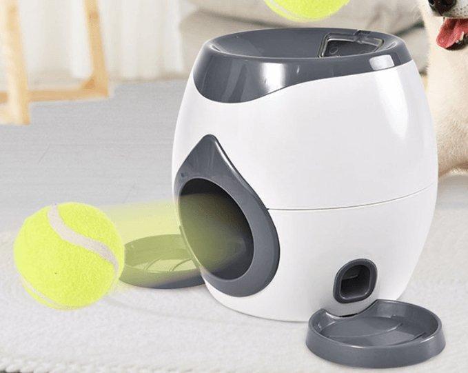 Sistema automático de alimentação e treinamento de animais de estimação