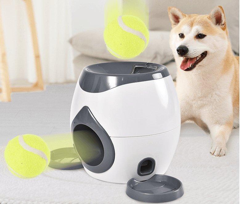 Sistema automático de alimentação e treinamento de animais de estimação