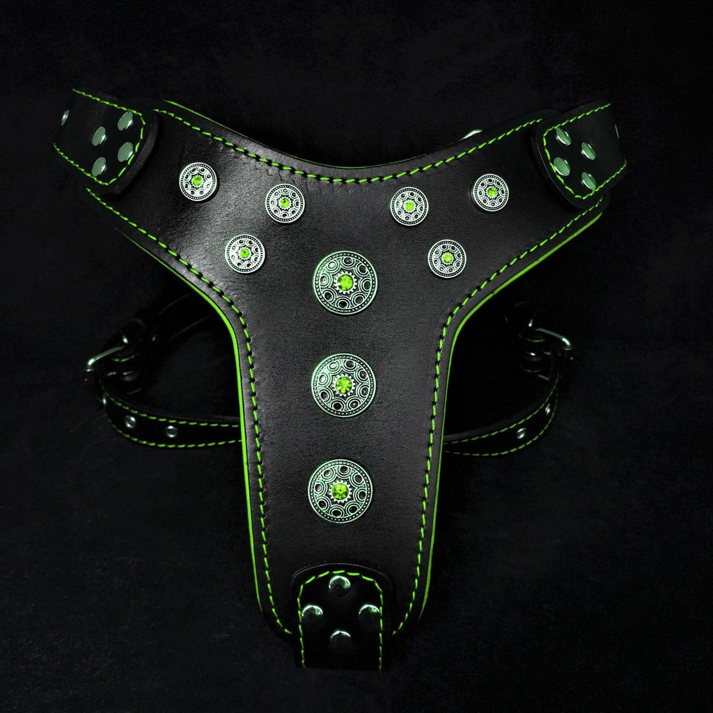 ''Bijou'' harness Black & Green for large dogs