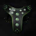 ''Bijou'' harness Black & Green for large dogs
