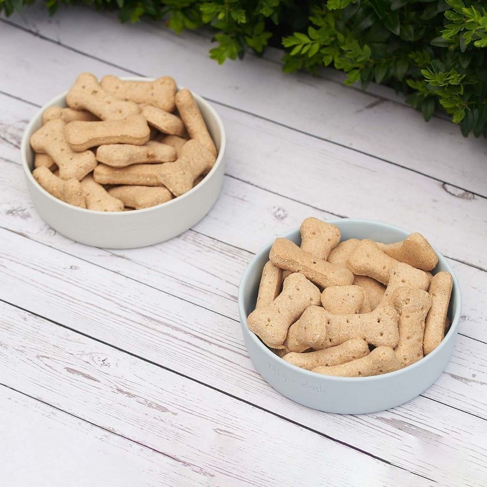 pet bowls