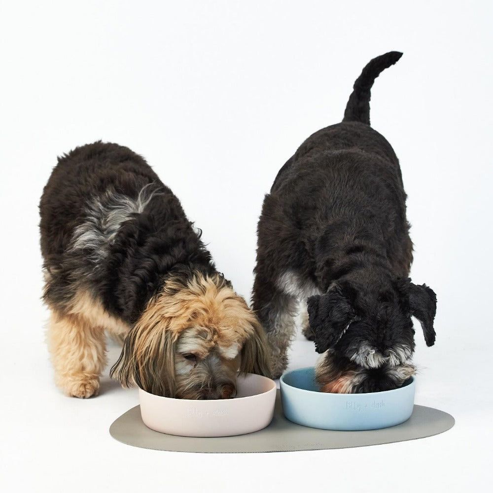 placemats with an asymmetric design
