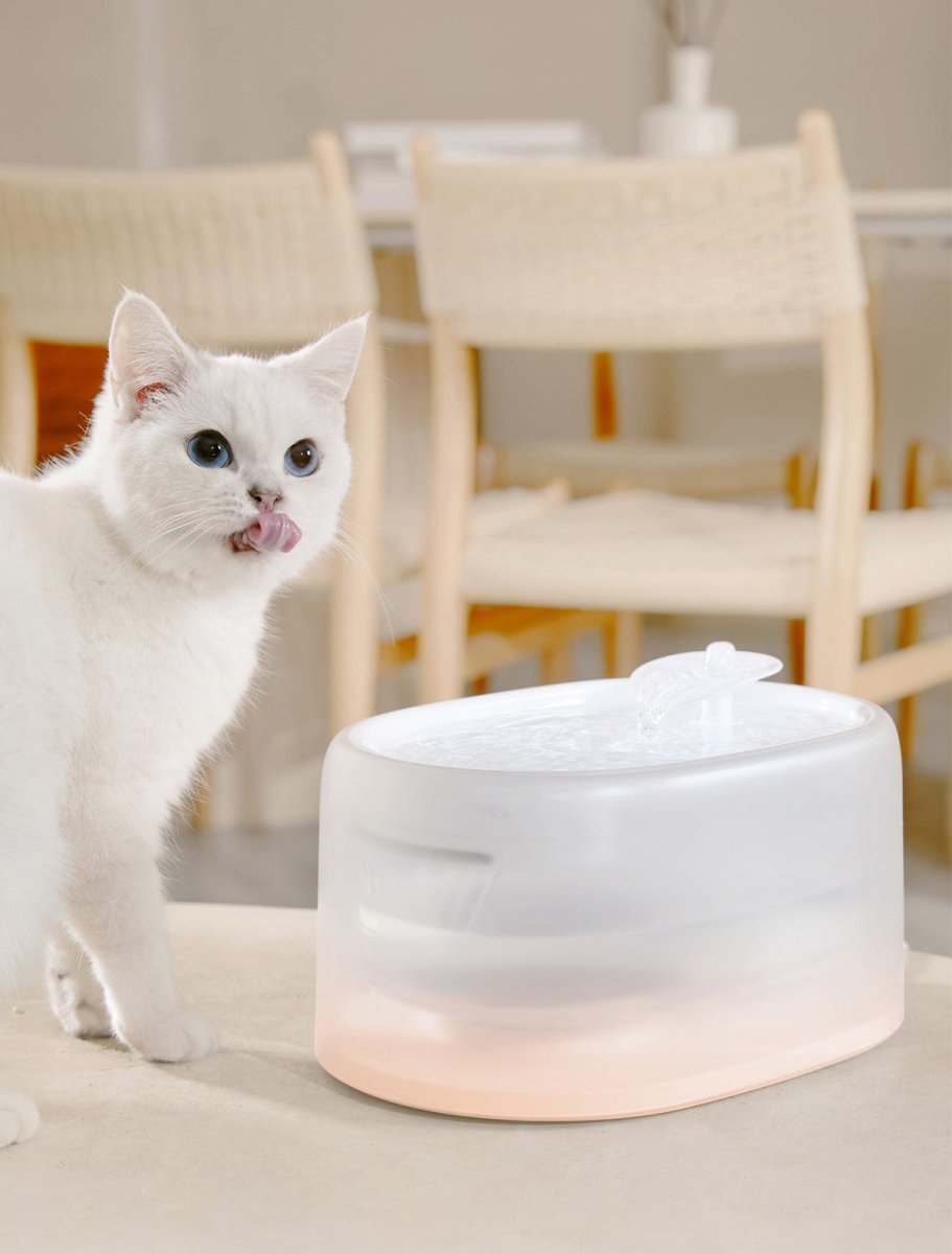 Smarter UVC-sterilisierender, beheizter Katzenbrunnen